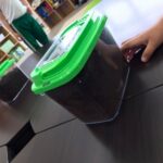 なんの幼虫？