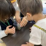 🐛🐸あゆみん生き物王国🐸🐛