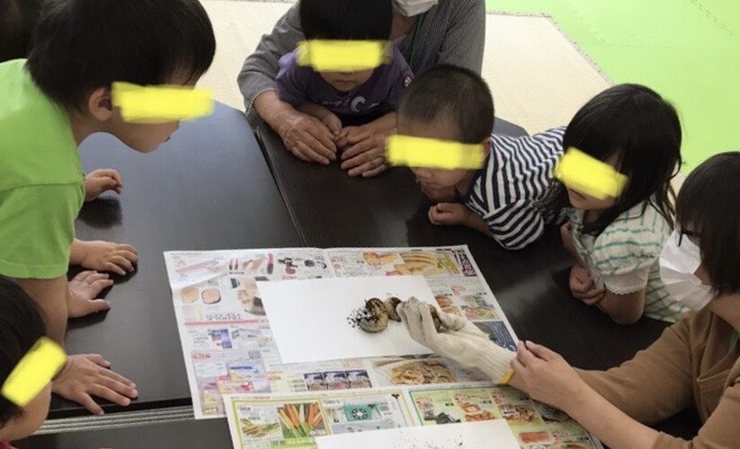 土の入れ替え🐛