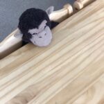 🎆🎇🎆🎇祝一日の利用児童人数記録更新！🎆🎇🎆🎇