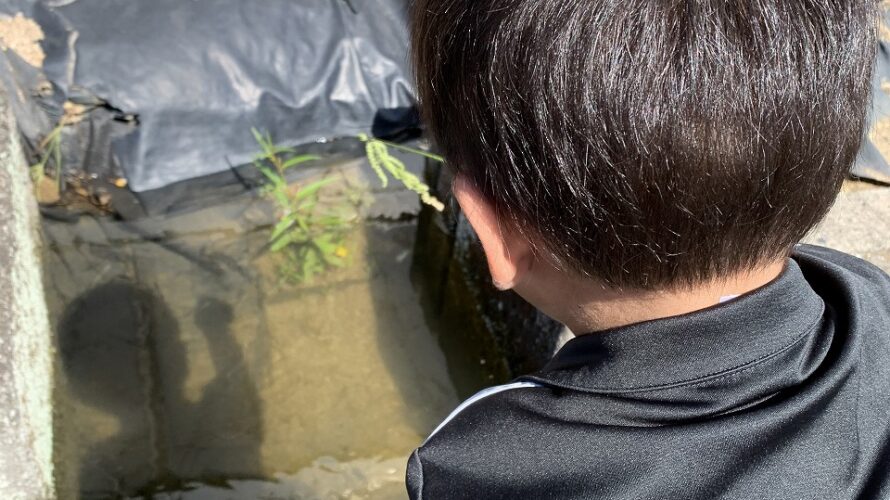 ポカポカ良い天気🌞体力消耗戦