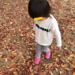 🍂公🍂園🍂