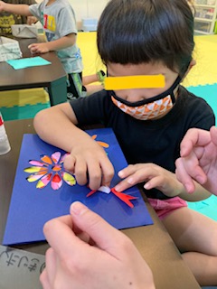 できた!!コスモス❀💕