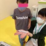 粘土で作ったお寿司です！