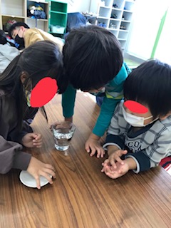 不思議でいっぱい＼(◎o◎)／！