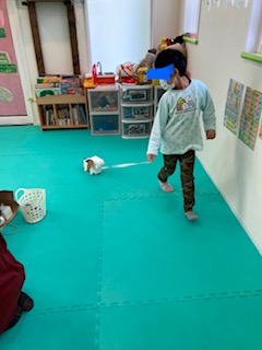 1月20日（木）ワンちゃんとお散歩