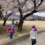 4月2日(土)　春を感じにお出かけ🌸