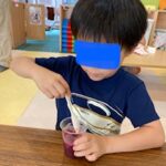 ８月１７日（水）実験（固くて柔らかいもの）＆シュワシャリシャーベット🍧
