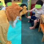 9月29日(木)　きつね🦊居座る✨DAY②