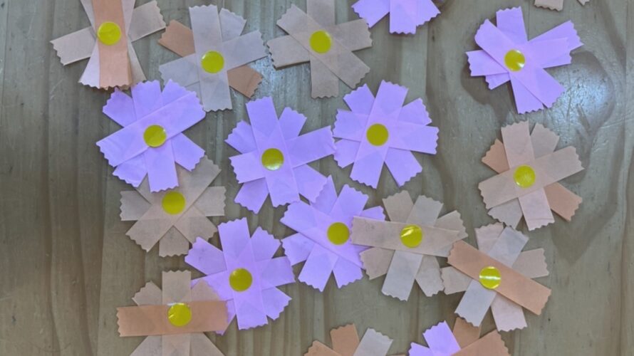 9月15日（木）　秋桜