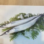 3月17日（金）魚🐟