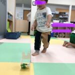 5月29日（月）ピョンピョンうさぎ🐰