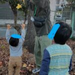 11月22日（水）　ひらり～