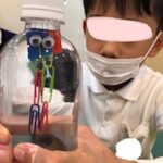 11月1日（水）🖇ピコピコくらげ🖇