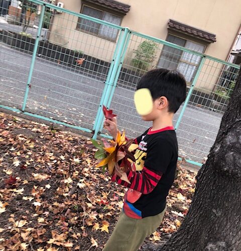 11月4日(土)公園へ行こう🌳