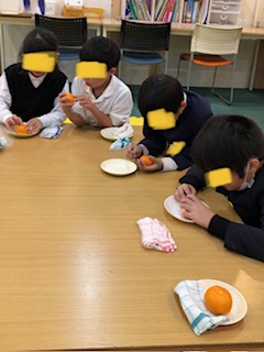 12月15日(金)みかんのひみつ🍊