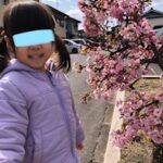 ３月７日㈭　春を感じる日🌸