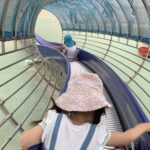 ６月８日（土）公園で遊ぼう！