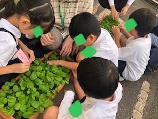 10月25日(金)野菜を味わおう🥬