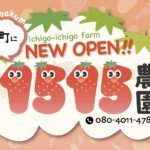 １５１５農園🍓沼隈町に新規OPEN