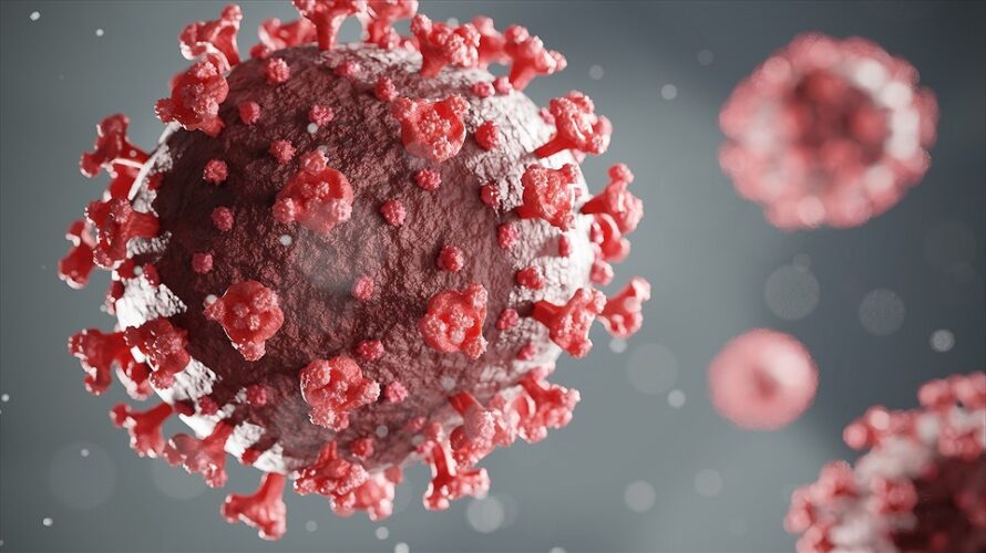 新型コロナウイルス感染症対応の変化について