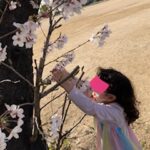 4月4日㈪🌸桜満開！お散歩日和🌸