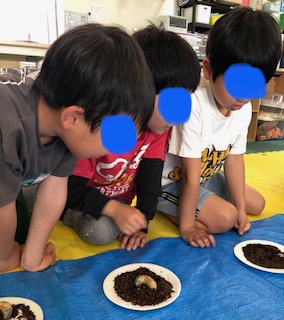 5月10日(土)ハンカチ落とし&カブトムシの幼虫の観察🐛