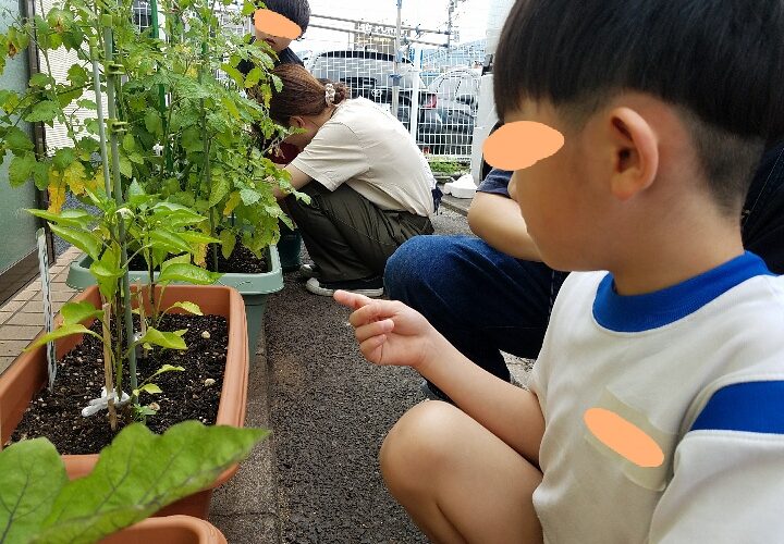 6月12日(木)なにしてあそぶ?💭